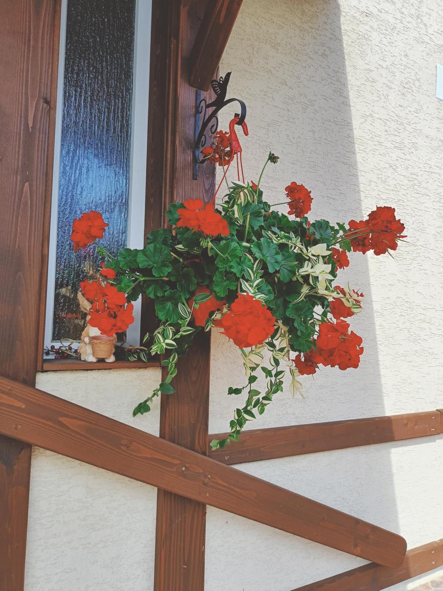 Residence Rooms Bucovina Campulung Moldovenesc Bagian luar foto