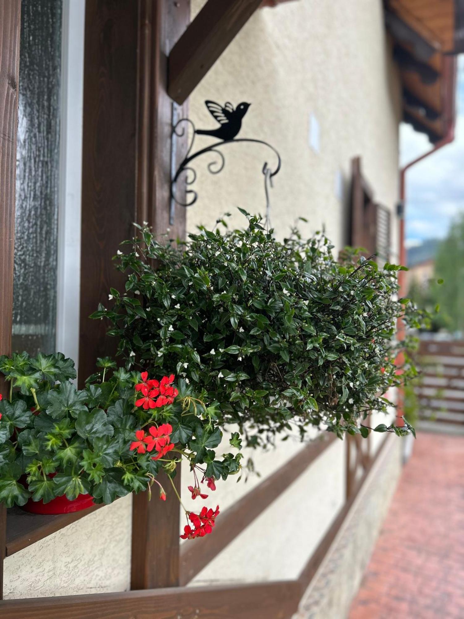 Residence Rooms Bucovina Campulung Moldovenesc Bagian luar foto